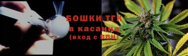 хмурый Абаза