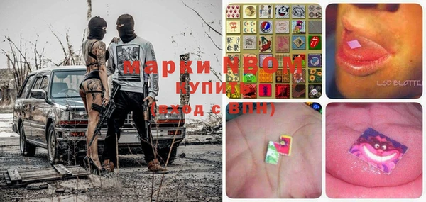 хмурый Абаза