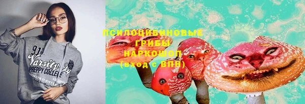 хмурый Абаза