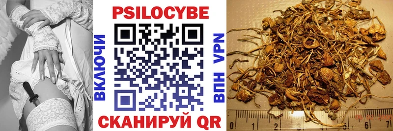 Галлюциногенные грибы ЛСД  Брюховецкая 